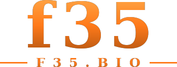 f35 logo
